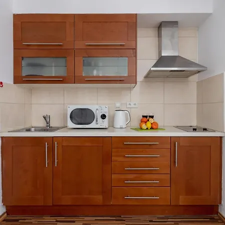 Nosal Jaszczurowka By Renters Apartment *